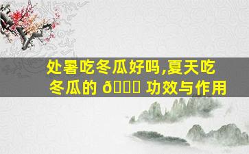 处暑吃冬瓜好吗,夏天吃冬瓜的 🐞 功效与作用